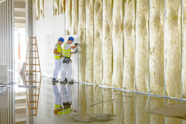Types of Insulation We Offer in Taos Pueblo, NM